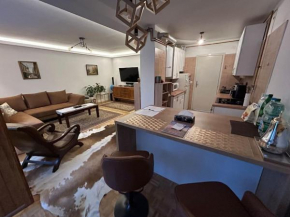 Apartment in Center of Sarajevo